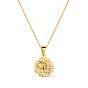 Colar Medalha Espirito Santo
